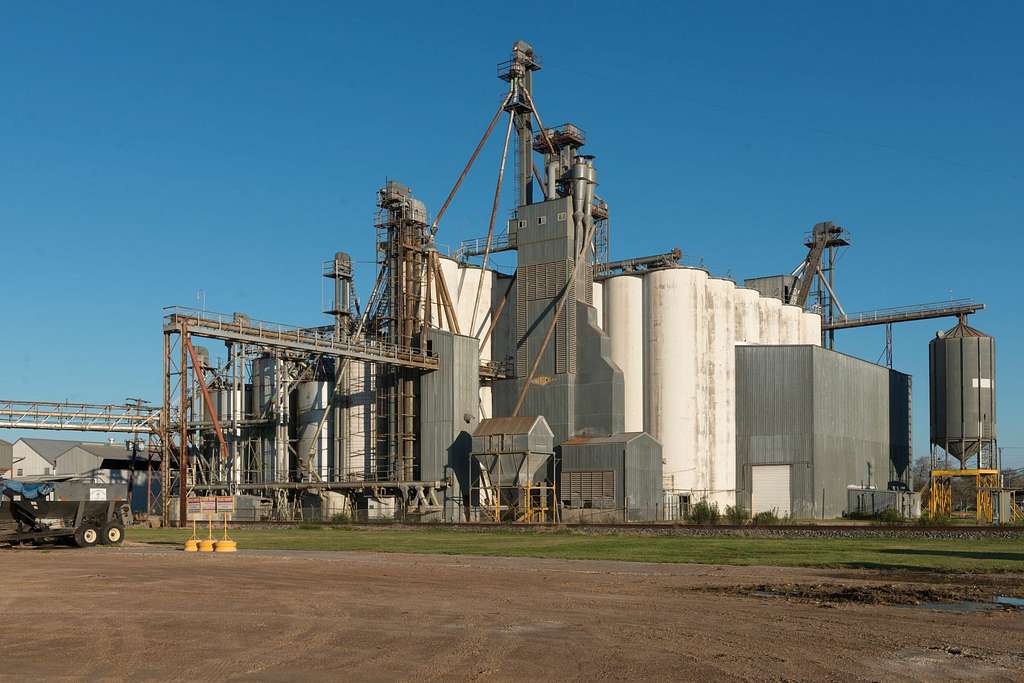 Rice processing plant